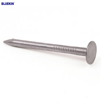Galvanized roofing Nails