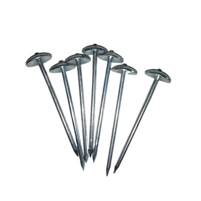 Umbrella Head Roofing  Nails Galvanized Twisted Shank